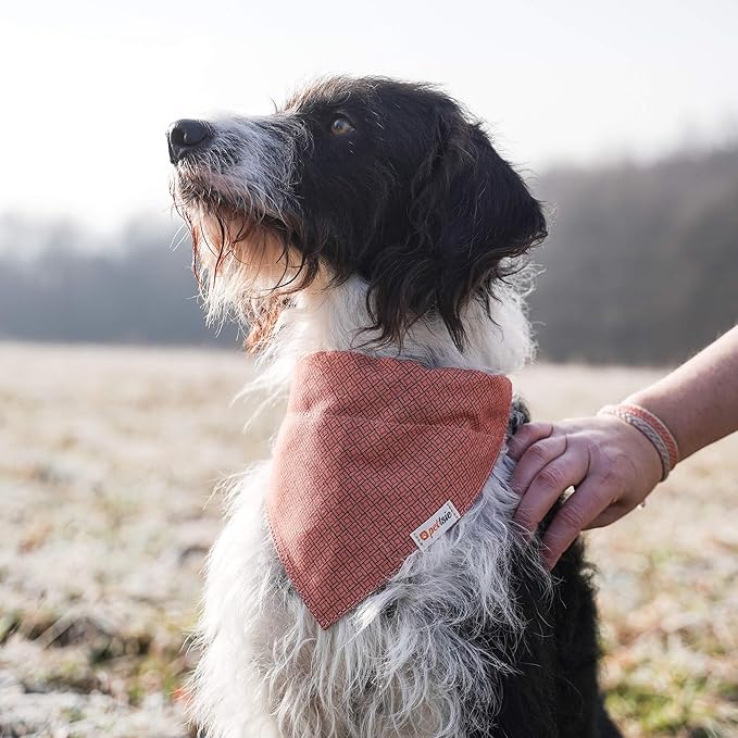 Pettsie Dog Bandana Collar with Matching Friendship Bracelet – Adjustable, Durable Hemp & Soft Cotton, Stylish & Comfortable Pet Bandana, Designed for Dog Lovers, Small, Orange