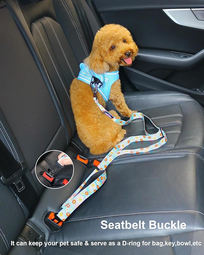 Hotsky Double Handle Dog Leash for Large Medium and Small Breed Dogs That Pull,Adjustable Nylon Heavy Duty Dog Leash with Car Seat Belt for Walking and Training,Daisy,4.5-6 FT