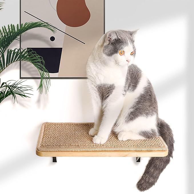 Cat Floating Wall Shelf with Scratching Mat, 1PC 9.7X16.6 Inch Large 1 Inch Thick Wood Cat Window Perches Hanging Shelves Wall Mounted Beds for Sleeping, Playing, Climbing, Support to 30 LBS