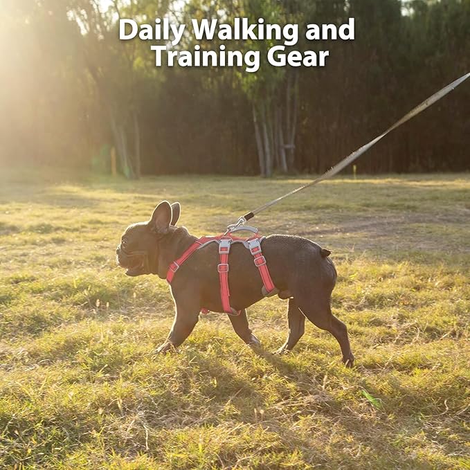 Huntboo No Escape Dog Harness, Escape Proof Harness, Fully Reflective Harness with Padded Handle, Breathable, Durable, Adjustable Vest for Small Dogs Walking,Training,and Running Gear(Red,S)