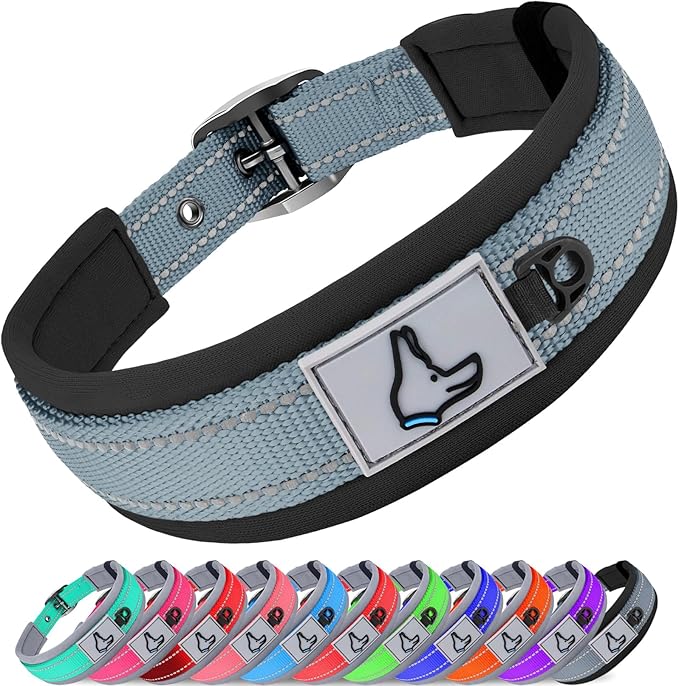 Joytale Dog Collar for Medium Dogs, Neoprene Padded and Adjustable, Reflective Wide Heavy Duty Pet Collars with Durable Metal Belt Buckle for Walking, Gray, M