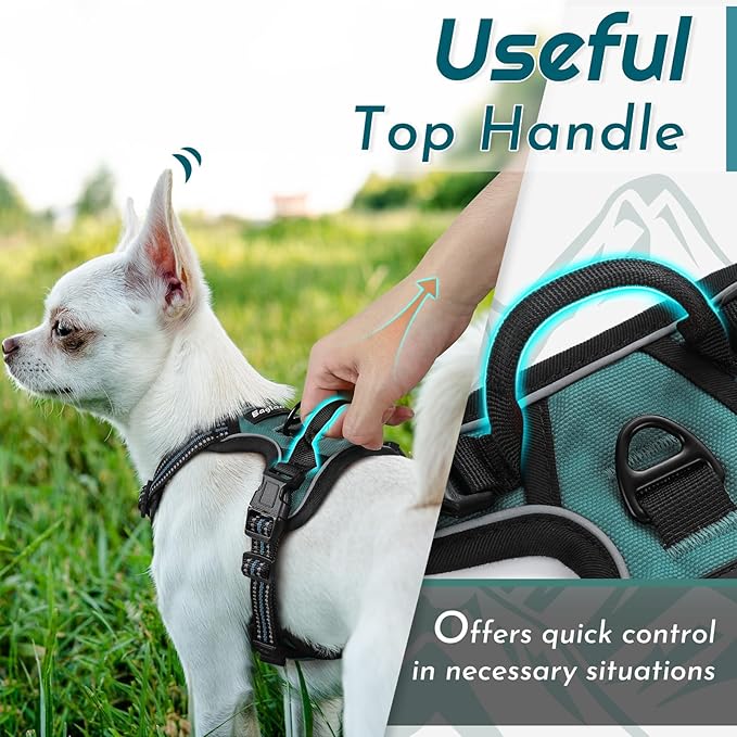 Eagloo Small Dog Harness No Pull, Service Vest with Reflective Strips and Control Handle, Adjustable and Comfortable for Walking, No Choke Pet Harness with 2 Metal Rings, Dark Green, XS