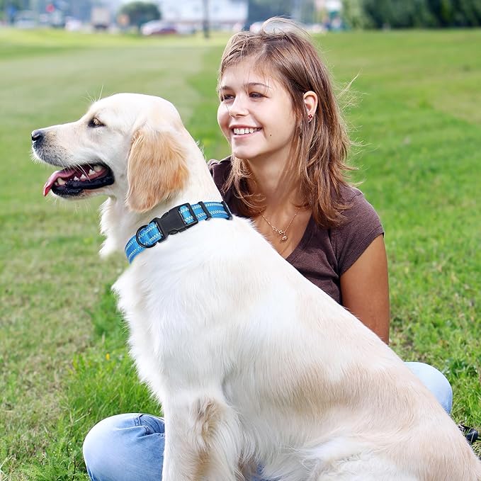 Mile High Life Reflective Dog Collar, Basic Dog Collars Adjustable Quick Release, Soft Nylon Pet Collar with Metal D-Ring for Small Medium Large Dogs (Hot Blue, M Neck13-17")