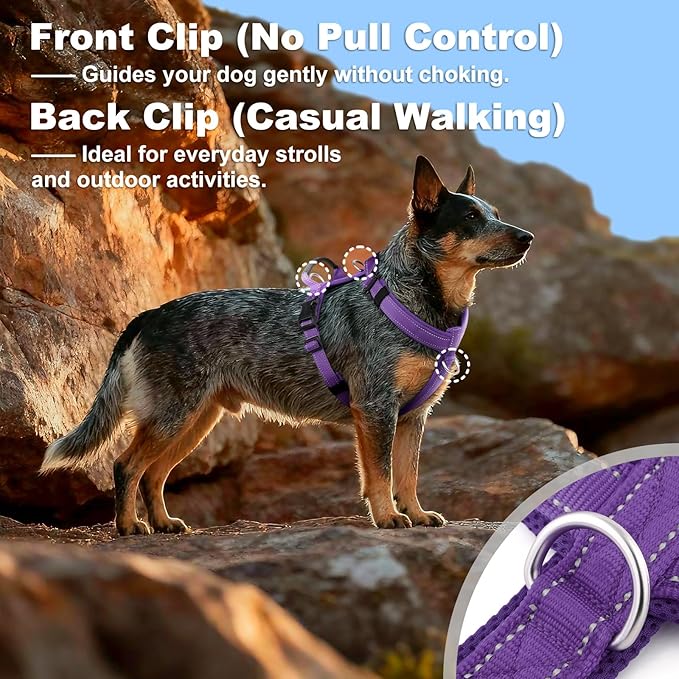 No Pull Dog Harness with Handle, Soft Mesh Padded Adjustable for Small Medium Large Dogs | Reflective Easy Walk Harness with Front Clip for Training, Running & Outdoor (Purple, M)