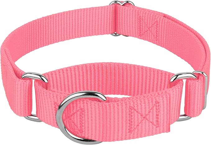 Country Brook Petz - Martingale Dog Collar - Heavy-Duty Training Collar with No Buckle - Service Dog Collar for All Pups - 10+ Warm Colors (Pink, 3/4 Inch, Small)