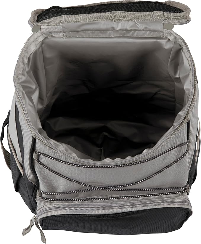 PICNIC TIME Disney Princess Sleeping Beauty Maleficent Backpack Cooler, Insulated Leakproof Soft Cooler, Waterproof Lunch Bag, Portable Travel Ice Chest (Black with Gray Accents)