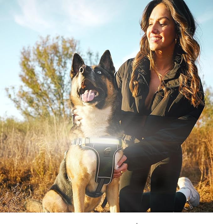 Lumi One LED Dog Harness for Night Visibility and Safety, Patent Pending ??High-Visibility Light-Up Dog Vest with 1000 Lumen LED, Rechargeable Battery, Adjustable Fit, Reflective Trim (Black, Large)