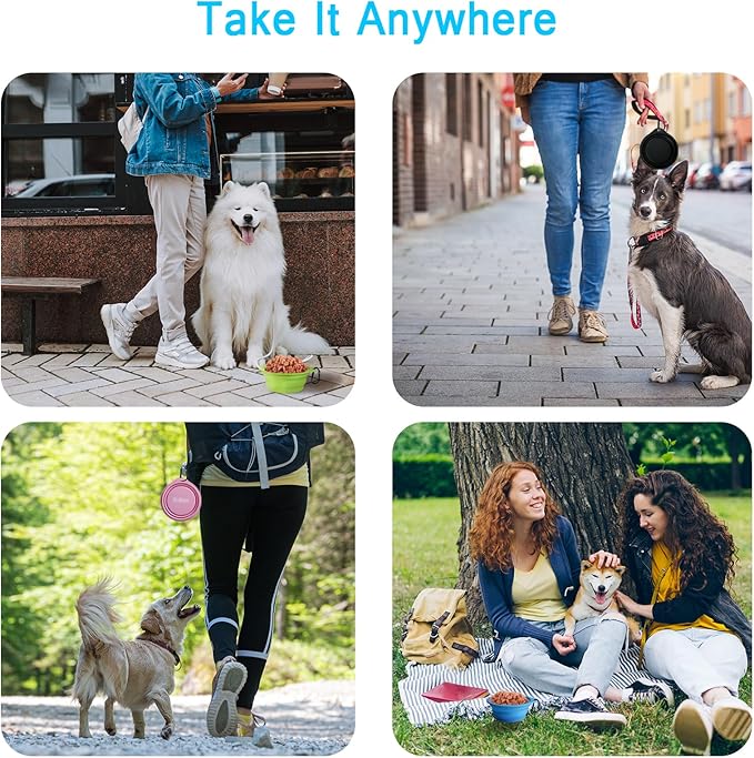 PetBonus 2-Pack Silicone Collapsible Dog Bowls, BPA Free Dishwasher Safe, Portable Foldable Expandable Travel Bowl, Food Water Feeding Cup Dish for Dogs Cats with 2 Carabiners (Light Blue & Green)