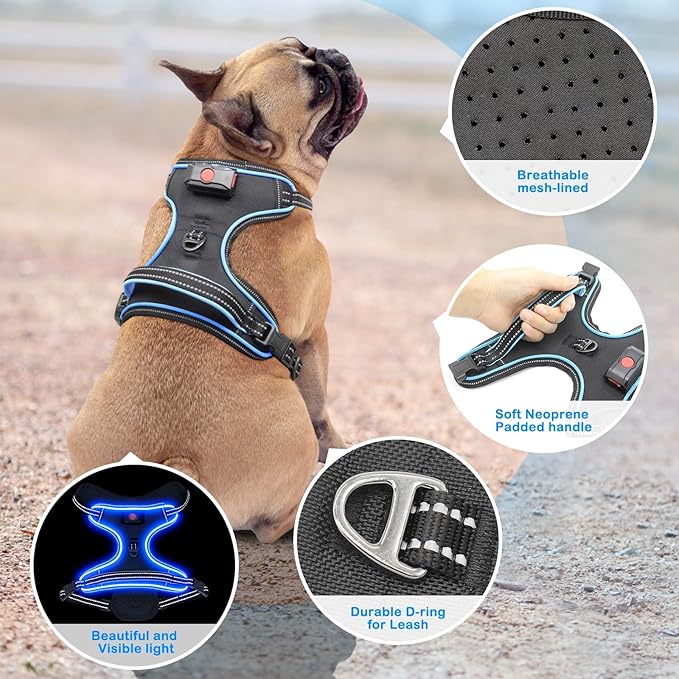 Light Up Dog Harness, No Pull LED Dog Harness with Handle, Rechargeable Lighted Safety Vest for Small Medium Large Dogs, Adjustable Soft Dog Lights for Night Walking