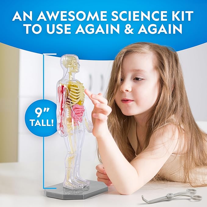 National Geographic Human Body Model for Kids That Glows in The Dark - 32-Piece Interactive Anatomy Model with Bones, Organs, Muscles, Science Kit Stocking Stuffer, Anatomy & Physiology Study Tools