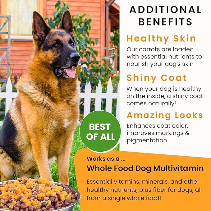 Olewo Original Carrots for Dogs - Fiber for Perfect Poop, Dehydrated Dog Food Toppers for Picky Eaters, Natural Skin & Coat Support, Multivitamin, Probiotics for Digestive & Gut Health, 1 lb