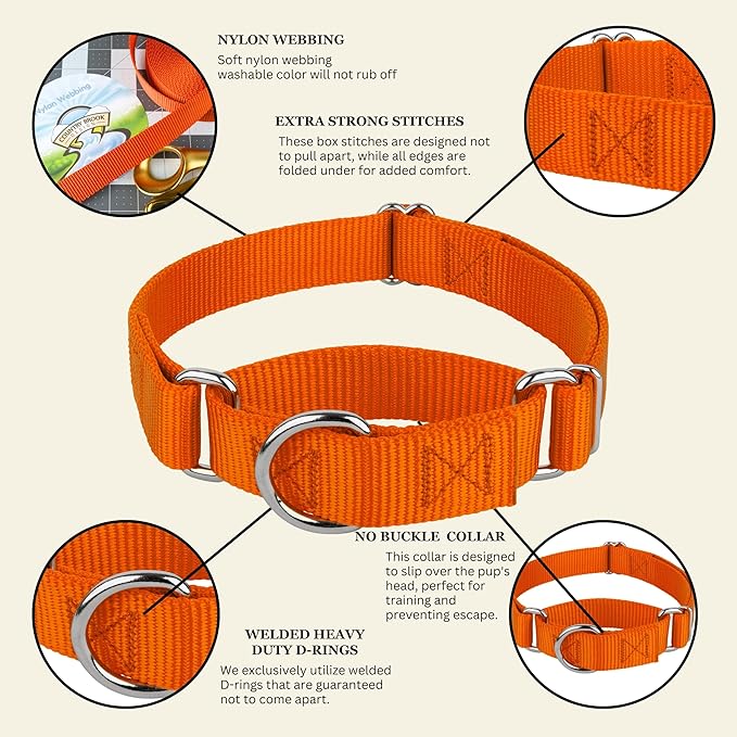 Country Brook Petz - Martingale Dog Collar - Heavy-Duty Training Collar with No Buckle - Service Dog Collar for All Pups - 10+ Warm Colors (Orange, 1 Inch, Extra Large)