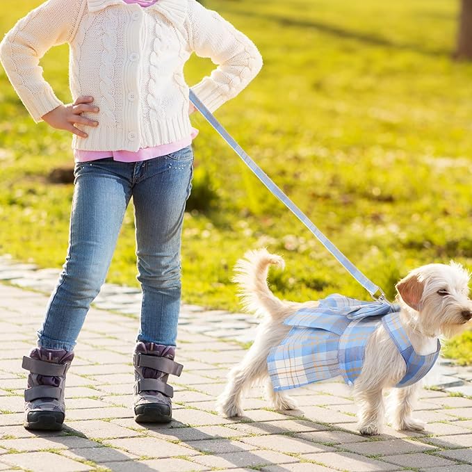 4 Pcs Cute Plaid Dog Dress Set with Bow Tie Harness & Leash for Small Dogs, Puppy Clothes for Girls Outfits(S,Light Color)