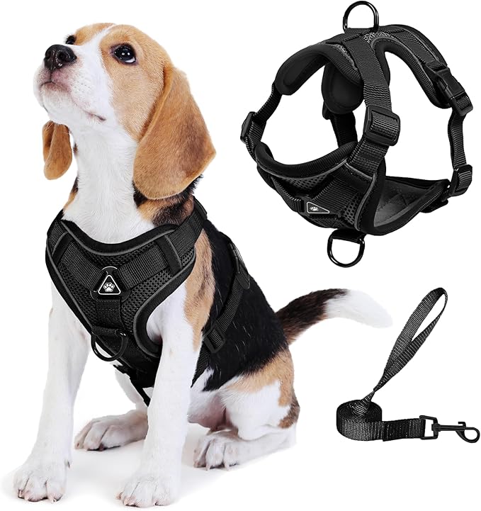 No Pull Dog Harness with Leash Set for Medium Sized Dog, Reflective Adjustable No Choke Front Clip Cat Vest Harness with Breathable Mesh, Comfortable Soft Padded Pet Vest, Black XL