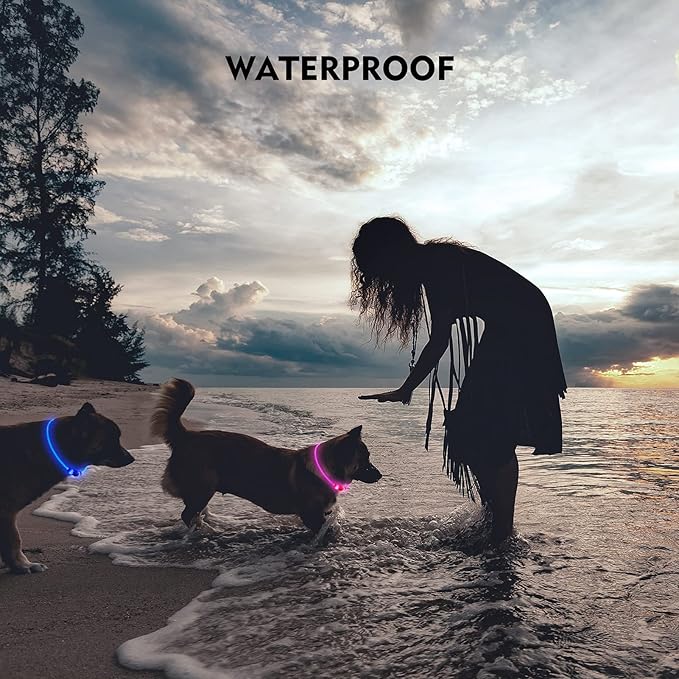 LED Dog Collar, Rechargeable Light Up Dog Collars,IP67 Waterproof Dog Lights for Night Walking，Adjustable, Reusable Safety Necklace for Small Medium Large Dogs (Red)