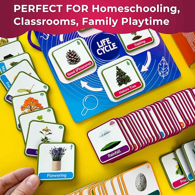 QUOKKA Life CycleToys for Kids - 30 Flashcards Toddler Science Kit Ages 2-4 - Pre-k Plant Animals Nature Learning Materials 3-5 - 120 Magnetic Flash Cards for Preschool and School (Part 2)