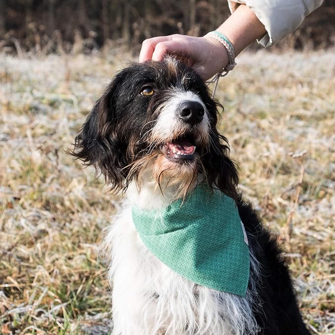 Pettsie Dog Bandana Collar with Matching Friendship Bracelet – Adjustable, Durable Hemp & Soft Cotton, Stylish & Comfortable Pet Bandana, Designed for Dog Lovers, Small, Green
