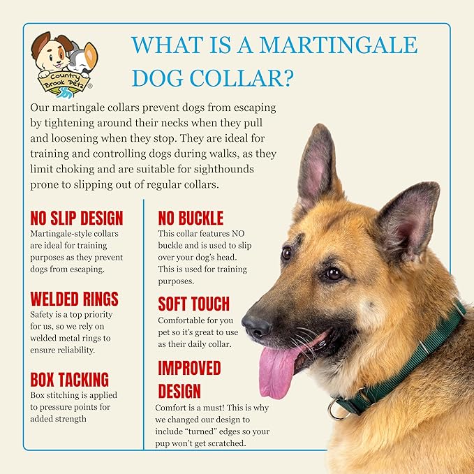 Country Brook Petz - Martingale Dog Collar - Heavy-Duty Training Collar with No Buckle - Service Dog Collar for All Pups - 10+ Warm Colors (Coyote Tan, 5/8 Inch, Extra Small)