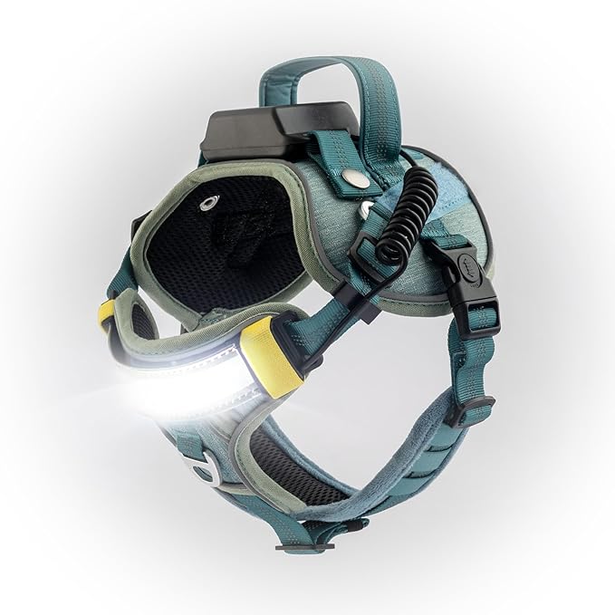 Lumi One LED Dog Harness for Night Visibility and Safety, Patent Pending?“High-Visibility Light-Up Dog Vest with 1000 Lumen LED, Rechargeable Battery, Adjustable Fit, Reflective Trim (Teal Blue, Small)