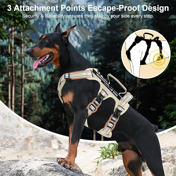Escape Proof Dog Harness for Large Medium Sized Dogs Six Point Adjustable, Service Dog Vest Harness and Leash Set, No Pull Dogs Harnesses with Handle, Medium Dog Harnesses for Walking(Beige, M)