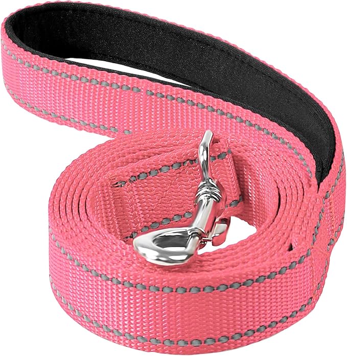 Reflective Dog Leash 4ft Soft Padded Handle Nylon Lead for Small & Medium Dogs, Durable Walking Training Leash for Night Safety (Neon Pink,3/4Inch Wide)