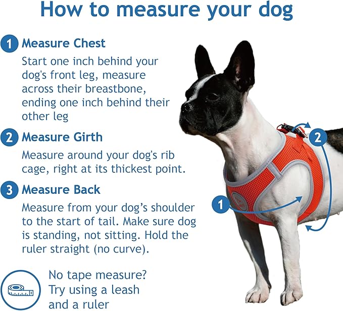 DOCO Dog Harness │ Athletica Puppy Harness for Small Dogs │ Heavy Duty No Choke Vest, Lightweight Reflective (Dogs Under 30 lbs) - Hot Pink, X-Small