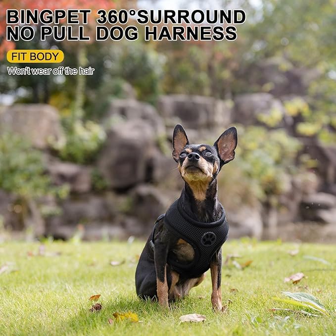 BINGPET Small Dog Harness - Breathable Mesh Puppy Cat Harnesses - No Pull Adjustable Dog Harness Dog Vest Harness for Small and Medium Dogs