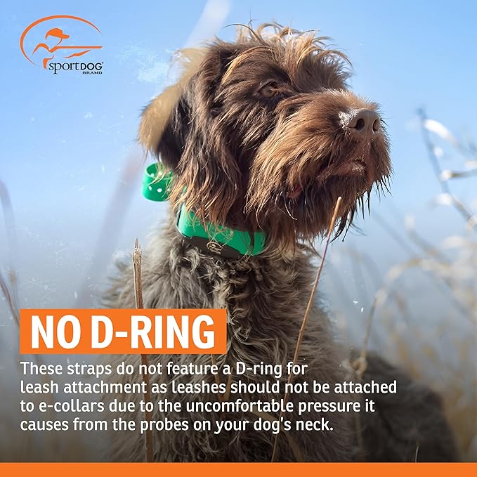 SportDOG 3/4-Inch Collar Strap - Waterproof Replacement Strap for Rugged Outdoor Use - Adjustable Collar with High Visibility - Black