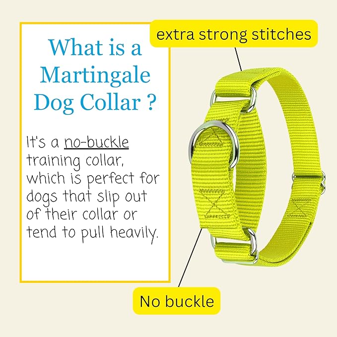 Country Brook Petz - Martingale Dog Collar - Heavy-Duty Training Collar with No Buckle - Service Dog Collar for All Pups - 10+ Warm Colors (Hot Yellow, 3/8 Inch, 3XS)
