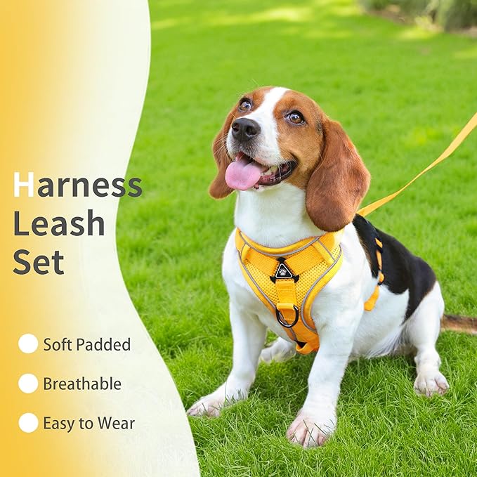 No Pull Dog Harness with Leash Set for Small Sized Dog, Reflective Adjustable No Choke Cat Vest Harness with Breathable Mesh, Comfortable Soft Padded Pet Vest, Yellow L