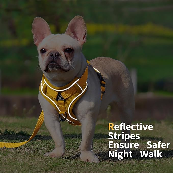 No Pull Dog Harness with Leash Set for Small Sized Dog, Reflective Adjustable No Choke Cat Vest Harness with Breathable Mesh, Comfortable Soft Padded Pet Vest, Yellow L