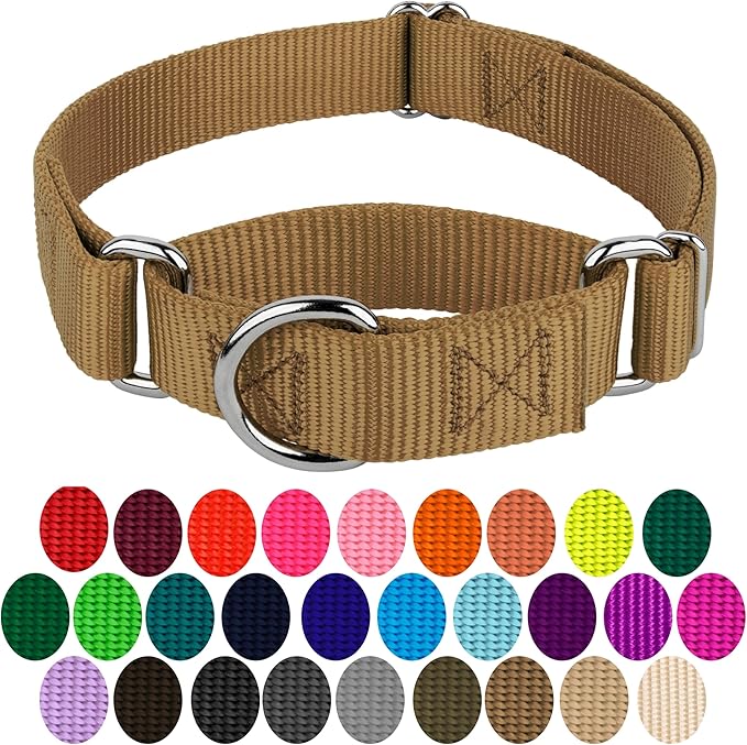 Country Brook Petz - Martingale Dog Collar - Heavy-Duty Training Collar with No Buckle - Service Dog Collar for All Pups - 10+ Warm Colors (Coyote Tan, 5/8 Inch, Extra Small)