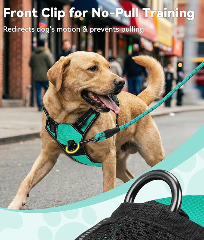 Joytale No Pull Dog Harness Medium Sized Dog, Reflective Pet Vest with Front Clip, Adjustable Soft Padded Harnesses with Easy Control Handle for Training and Walking, Teal, M