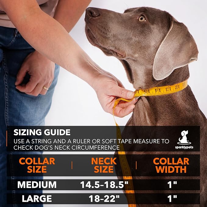 SparklyPets Heavy Duty Dog Collar with Handle for Medium and Large Dogs ??Professional Collar with Reflective Stitches, Soft Handle & Nickel-Plated Buckle (Medium (14,5"~18,5"), Gray)