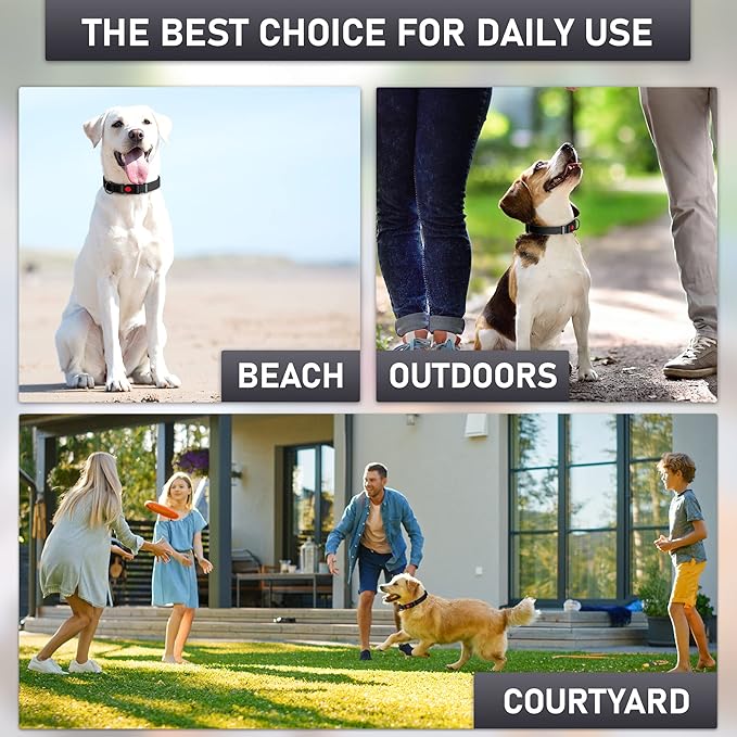 Adjustable Dog Collar with QR Code Dog Tag ID Attached - Made in USA - Honeycomb Waterproof Heavy Duty Dog Collar with Safe Lock Buckle - Odor Proof Pet Collar for Dogs with Strong Zinc D Ring