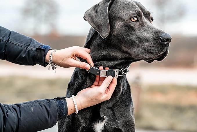 Herm Sprenger Dog Training Prong Collar with Quick Release Cliclock Buckle & Swivel Ring | Adjustable Length German Made Stainless Steel Collar for Small to Medium Dogs Up to 15" Neck (2.25mm Prongs)