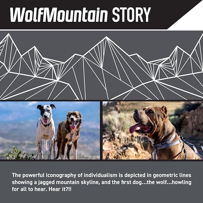 Wolfgang Heavy Duty, Adjustable Dog Collar with Quick Release Nylon Buckle for Walking & Training, WolfMountain Print, Medium