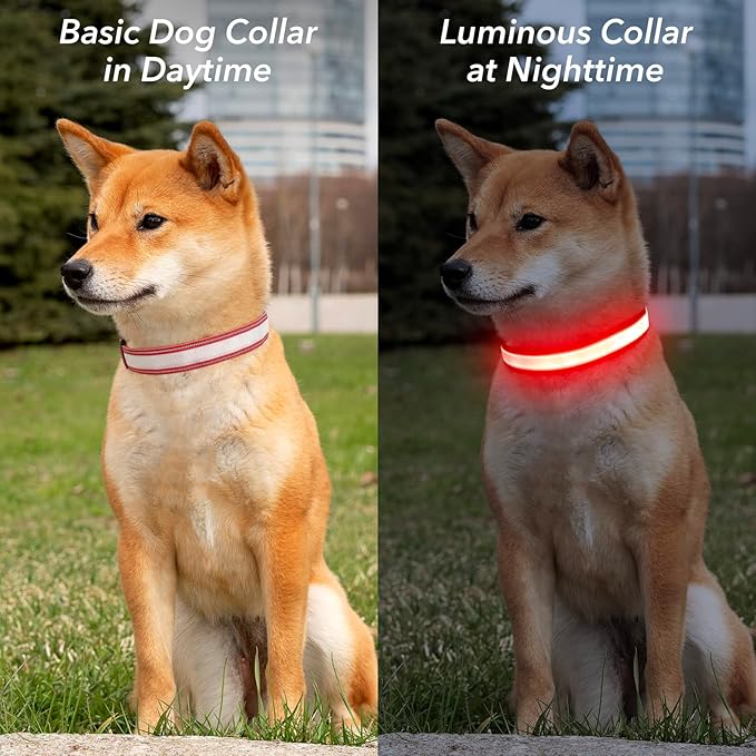 Visinite Light Up Dog Collar, Reflective LED Dog Collar, Adjustable Lighted Dog Collars Rechargeable Waterproof, Bright Dog Glow Collar for Pet Safety at Night Walking, Fit Large Medium Dogs
