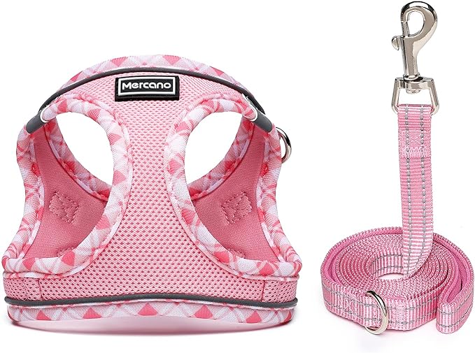 Mercano Soft Mesh Dog Harness and Leash Set, No-Chock Step-in Reflective Breathable Lightweight Easy Walk Vest Harnesses with Safety Buckle for Small Dogs, Cats (Pink, S)