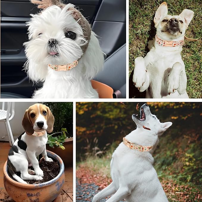Autumn Dog Collar竊똕oft Cotton Handmade Pet Collar with Autumn Tea Party Design for Small Medium Large Dogs, Adjustable Collars for Fall Walks竊똖ea-Time Adventures & Fireside Snuggles -M