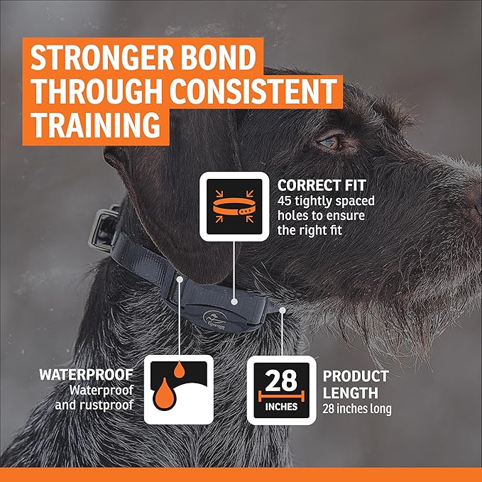 SportDOG 3/4-Inch Collar Strap - Waterproof Replacement Strap for Rugged Outdoor Use - Adjustable Collar with High Visibility - Black