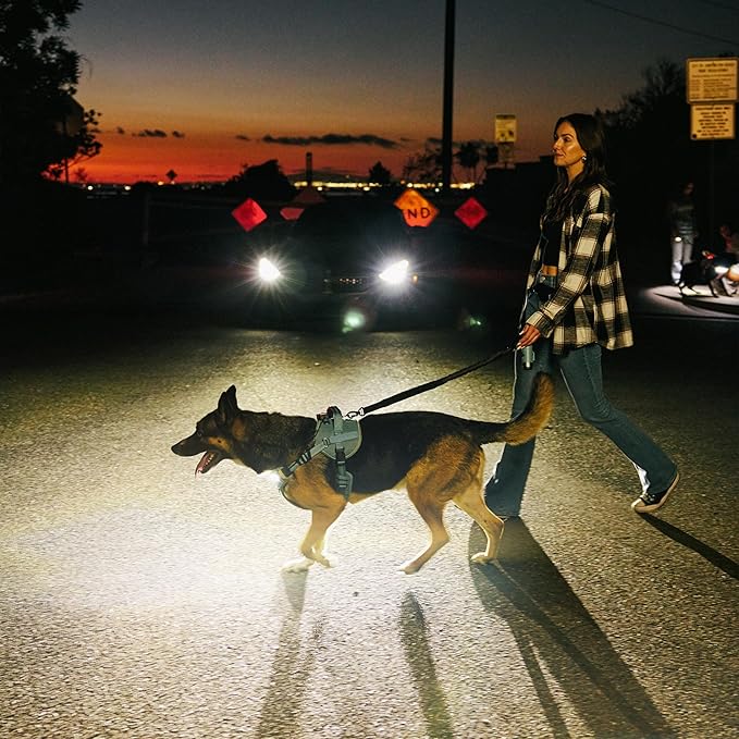 Lumi One LED Dog Harness for Night Visibility and Safety, Patent Pending ??Light-Up Dog Vest, Reflective, Adjustable, Rechargeable, Durable, High-Visibility Pet Gear (Teal Blue, Extra Large)