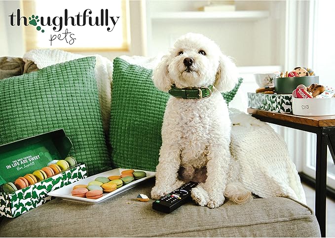 Thoughtfully Pets, Gourmet Dog Cookie Gift Set, Peanut Butter Flavored Crunchy Dog Treats in Bone Shape with Easter Spring Designs, Set of 8