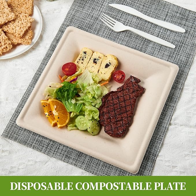 ECOLipak 125 Pack Compostable Square Paper Plates 6 inch Disposable, Eco-friendly Heavy Duty Biodegradable Sugarcane Plates