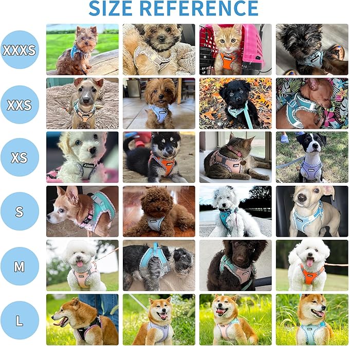 AIITLE Teacup Puppy Harness with Leash - Adjustable Soft Vest with Magic Tape & Reflective Safety Strips, Easy-Put-On for Poodles, Pomeranians - Gym, Hiking, Travel (Turquoise, S)