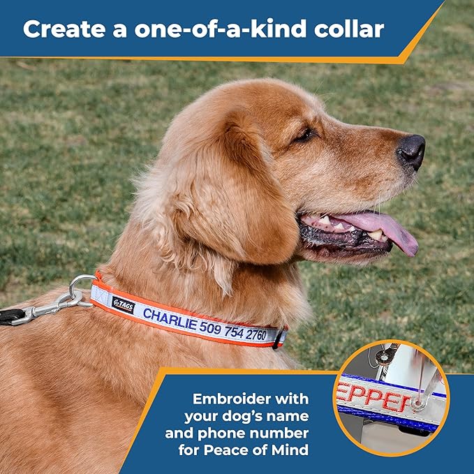 GoTags Reflective Personalized Dog Collar, Custom Embroidered with Pet Name and Phone Number in Red for Boy and Girl Dogs, Adjustable Small