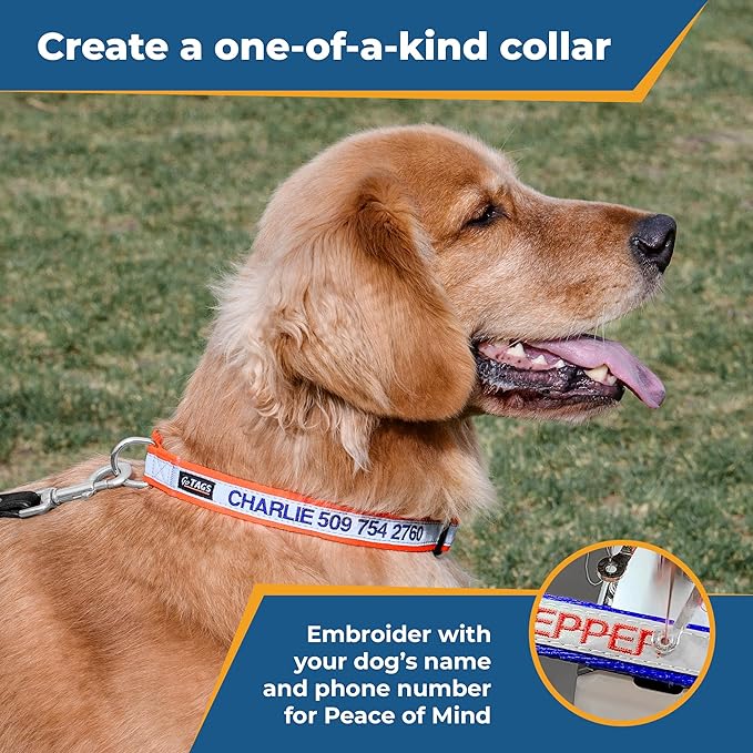 GoTags Reflective Personalized Dog Collar, Custom Embroidered with Pet Name and Phone Number in Orange for Boy and Girl Dogs, Adjustable Large