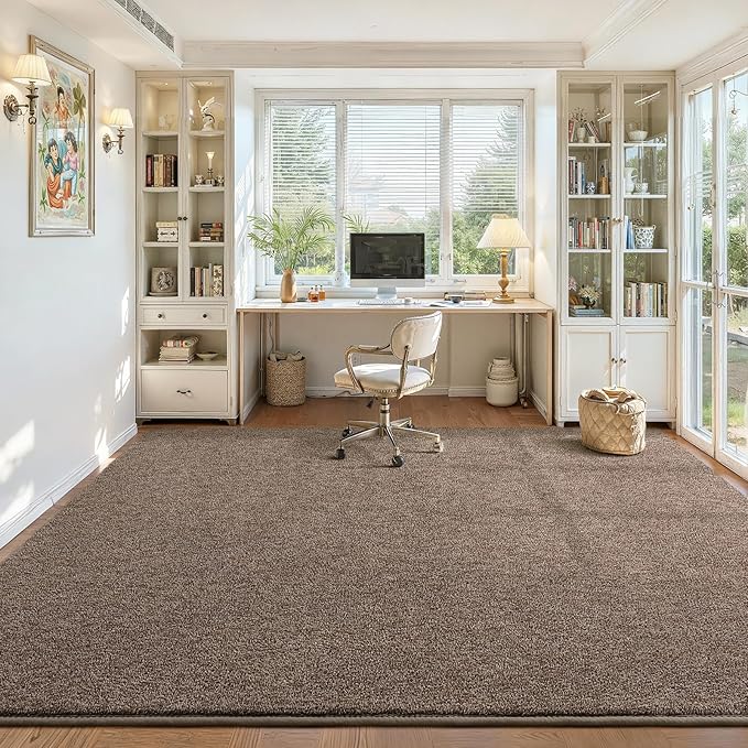 DweIke Rugs for Bedroom Living Room, 4x6 ft Brown Area Rug, Washable Memory Foam Indoor Carpet, Modern Non-Slip Ultra Soft Carpets for Kids Boys Girls Adults Nursery Dorm Home Decor