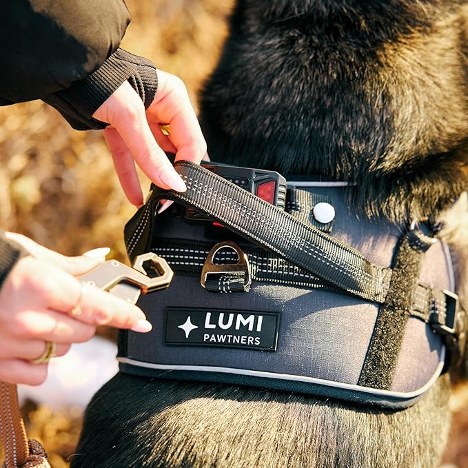 Lumi One LED Dog Harness for Night Visibility and Safety, Patent Pending ??High-Visibility Light-Up Dog Vest with 1000 Lumen LED, Rechargeable Battery, Adjustable Fit, Reflective Trim (Black, Large)