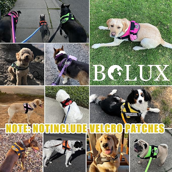 Bolux Dog Harness, No-Pull Reflective Dog Vest, Breathable Adjustable Pet Harness with Handle for Outdoor Walking - No More Pulling, Tugging or Choking (Medium (Pack of 1), Watercolour)